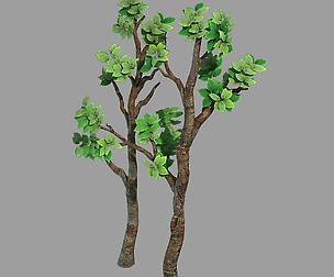 100 acres of forest - small tree 05