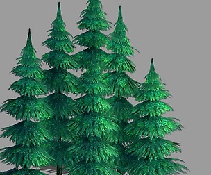 100 acres of forest - small pine 08