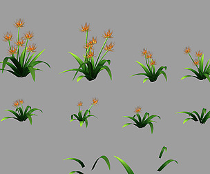 City - Thorn Grass