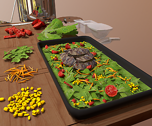 Kitchen tools an salad models