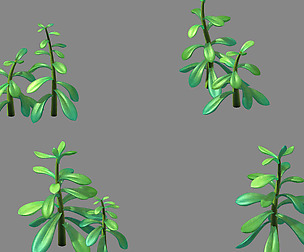 Disney main city - Plant - Aloe 02