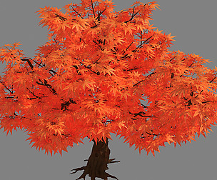 Red Plant - Maple 32