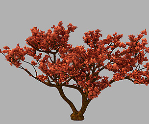 Red Plant - Tree 03