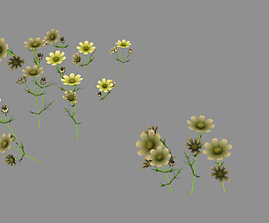 Yellow Flowers 03