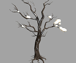 Snow Covered - Dry Tree 03