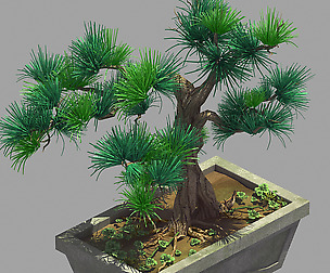 Bonsai - Flowerpot 36