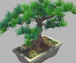 Bonsai - Flowerpot 39