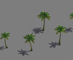 Tropical Plant - Coconut Tree 03