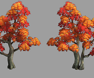 Forest - Maple Tree 98