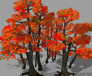 Forest - Red Tree 03