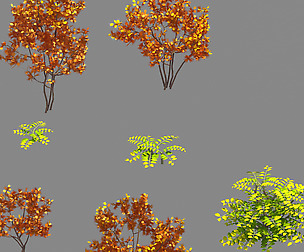 Forest - Red Leaf Valley Plant 2
