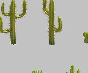 Desert Plant - Cactus 09