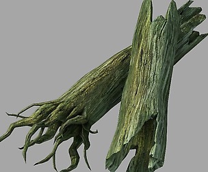 Yamano-Tree Root 303