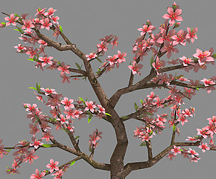 Trees - Peach 27
