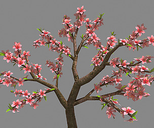 Trees - Peach 28