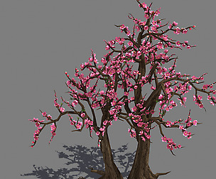 Peach Tree 336