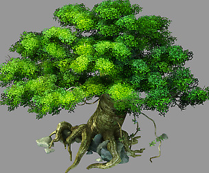 Forgetful Forest - Big Banyan Tree 33
