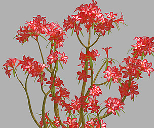 Small red plant 07