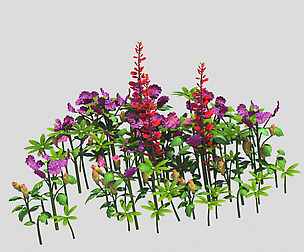 Small Plants - Shanhua 35