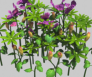 Small Plant - Mountain Flower 37