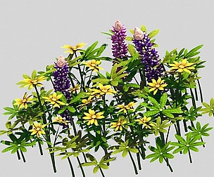 Small Plant - Mountain Flower 38