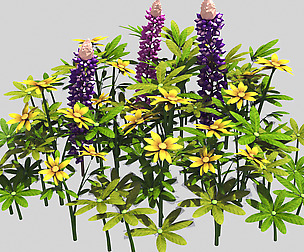 Small plants - Shanhua 39