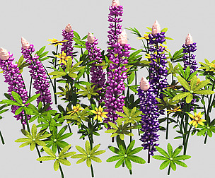 Small Plant - Mountain Flower 40