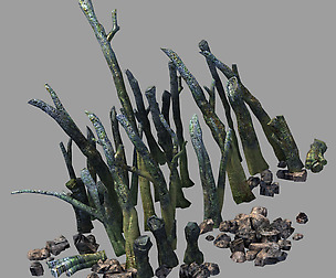 Star Trek - Destroyed Branch 01