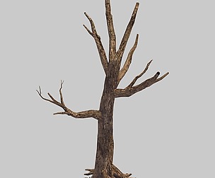 Original - Desert - Three Dry Trees 01