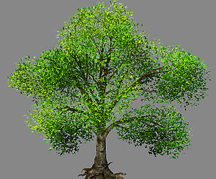 Moon Temple - Tree 01