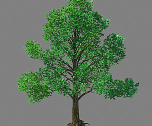 Moon Temple - Tree 02