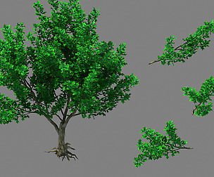 Moon Temple - Tree 03