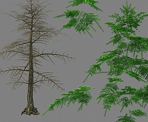 Moon Temple - Pine 01