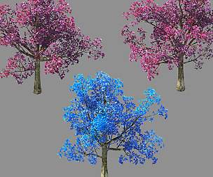 Moon Temple - Cherry Blossom Tree 01
