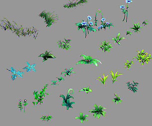 Yunmengze - Plant - Hybrid