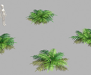 Weeds - Grass 55