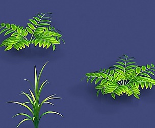 Weeds - Small Plants 068