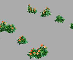 Miscellaneous Flowers - Small Flower Cluster 33