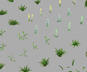 Miscellaneous Flowers - Weed 069
