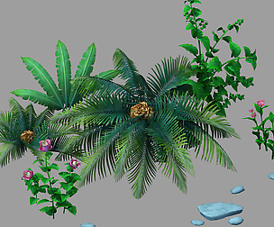 Plant - Dwarf Bushes 24