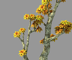 Plant - Poplar 02