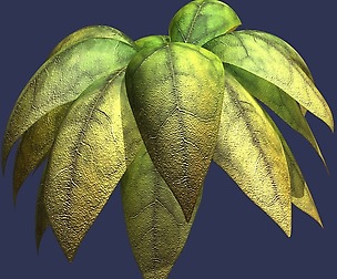Plant - Large Leaf Plant 03