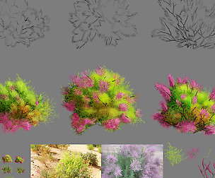 Plant - Tamarix 02