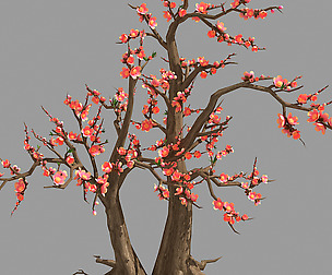 Plant - Tree 23