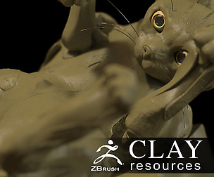 Clay resources for ZBrush