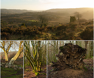 Cold Sunset Hill - PHOTO PACK