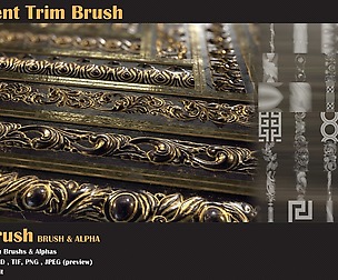 50 Ornament Trim Brushs for Zbrush