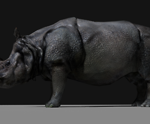 Photorealistic Rhinoceros Indien low-poly