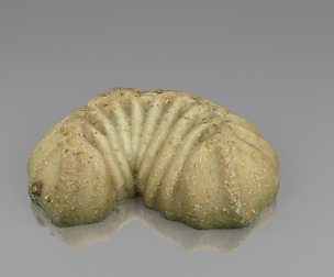 Tea cake