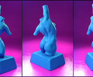 Torso sculpt
